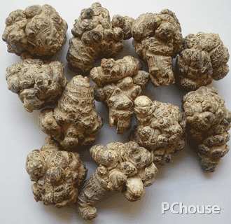 田七的食用方法