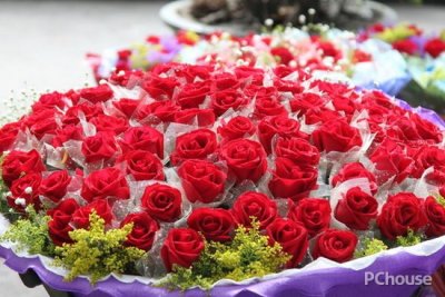 情人节玫瑰花图片