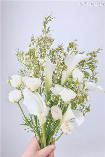 如梦如幻,纯白色系手捧花束制作教程 如梦如幻,纯白色系手捧花束制作教程