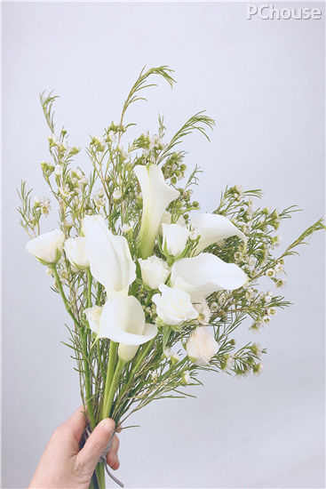 如梦如幻,纯白色系手捧花束制作教程 如梦如幻,纯白色系手捧花束制作教程