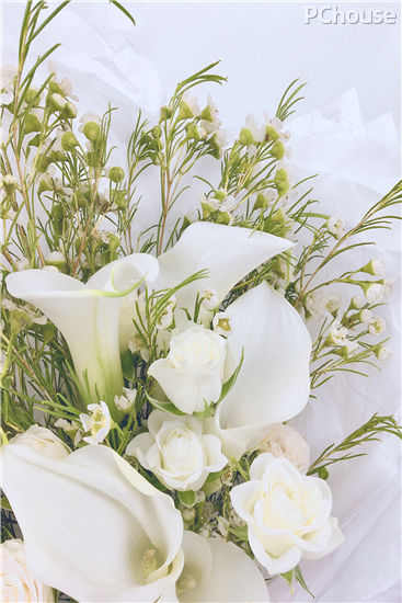 如梦如幻,纯白色系手捧花束制作教程 如梦如幻,纯白色系手捧花束制作教程