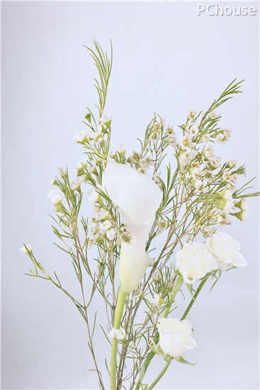 如梦如幻,纯白色系手捧花束制作教程 如梦如幻,纯白色系手捧花束制作教程